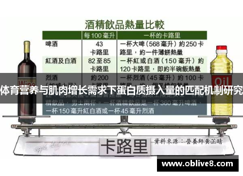 体育营养与肌肉增长需求下蛋白质摄入量的匹配机制研究