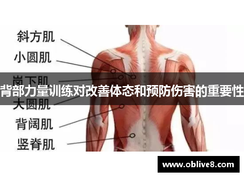 背部力量训练对改善体态和预防伤害的重要性